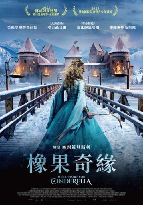 魔幻灰姑娘 海报