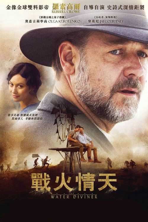 占水师 海报