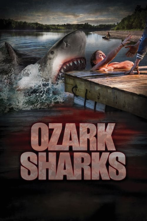 Ozark Sharks 海报