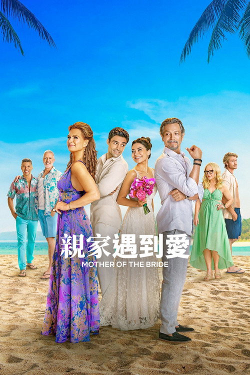 冤家变亲家 海报