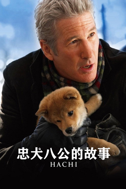 忠犬八公的故事 海报