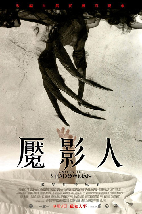 唤醒夜影人 海报