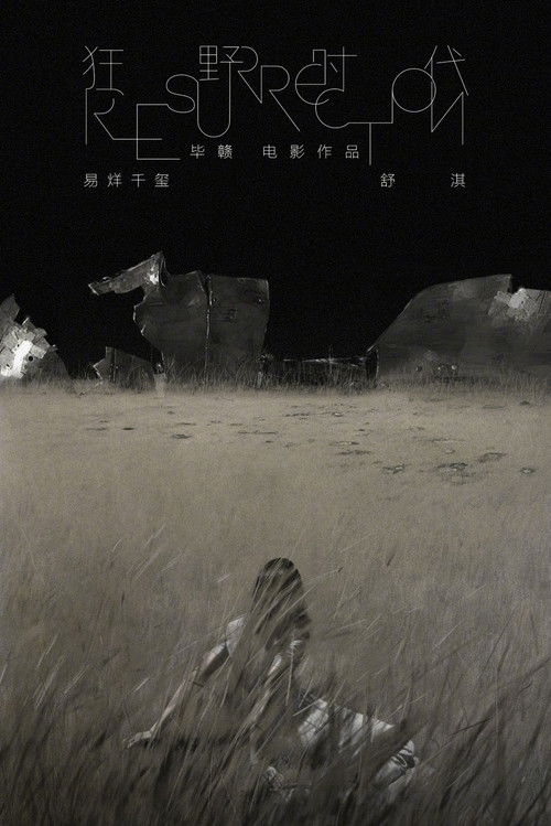 狂野时代 海报