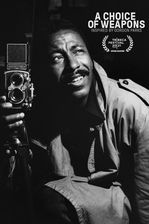 A Choice of Weapons: Inspired by Gordon Parks 海报