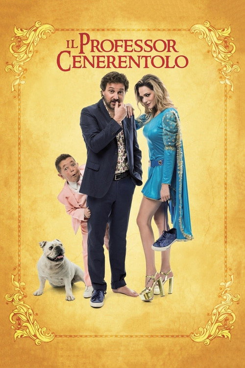Il professor Cenerentolo 海报