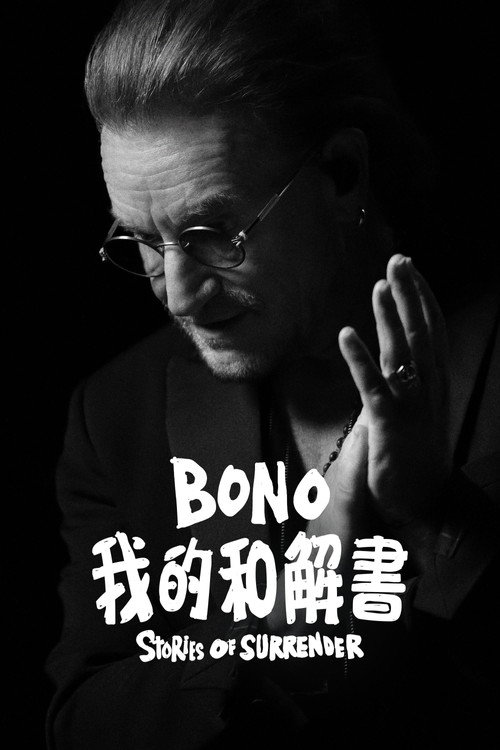 波诺：救赎之路 海报
