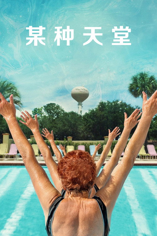 某种天堂 海报