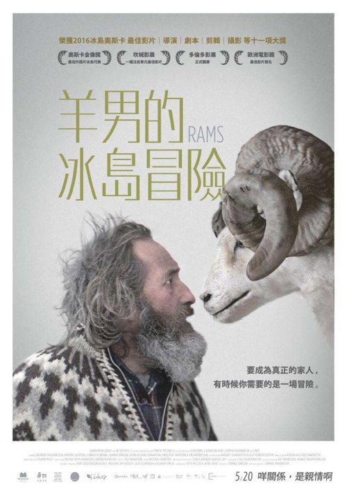 公羊 海报