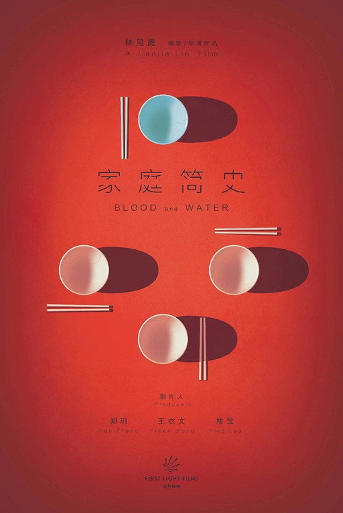 家庭简史 海报