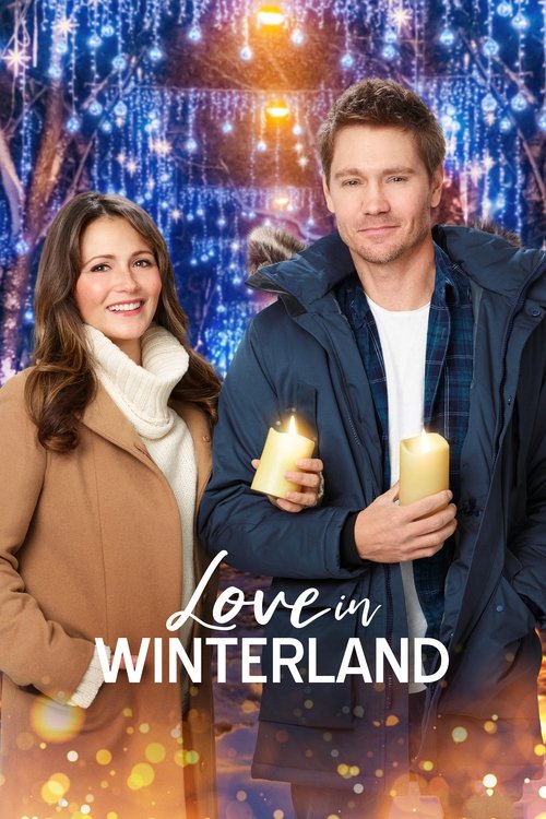 Love in Winterland 海报