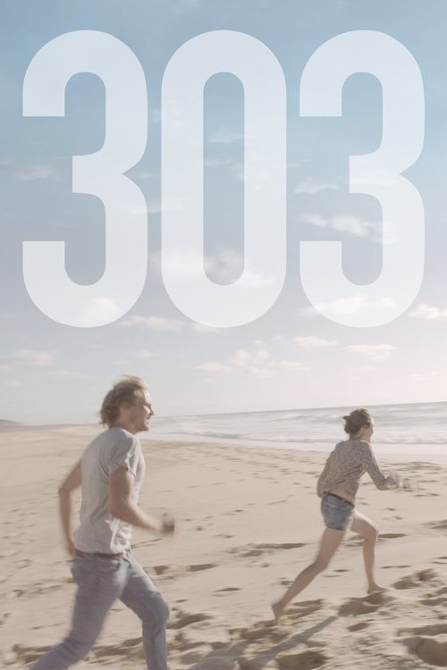 303 海报