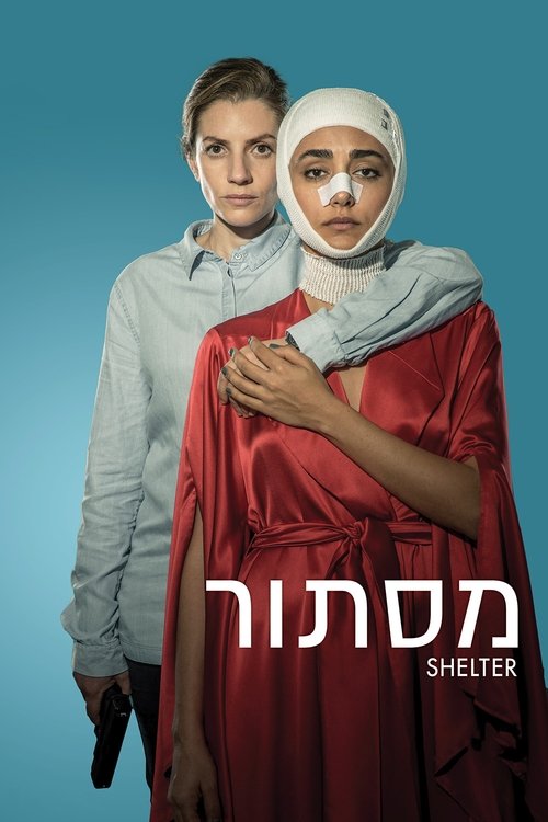 Shelter 海报
