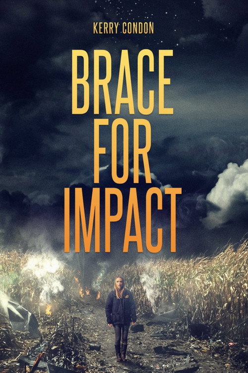 Brace for Impact 海报