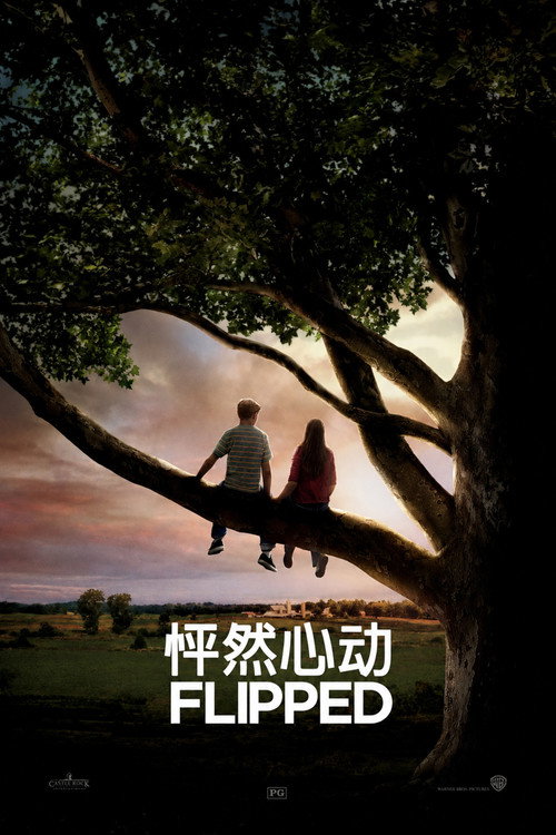 怦然心动 海报