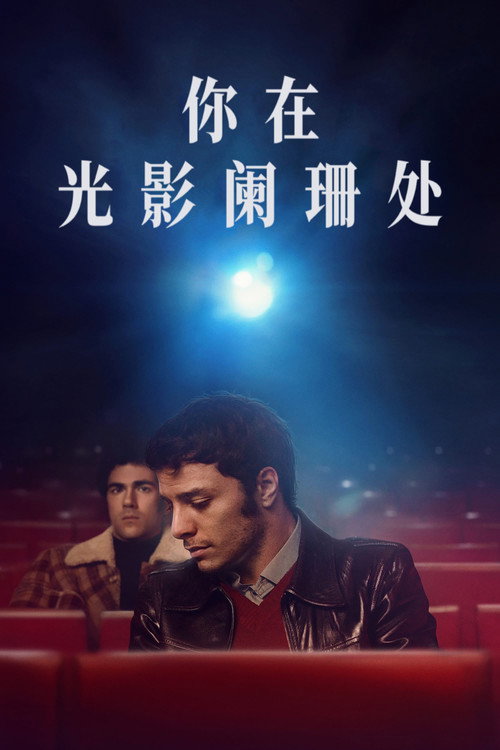 你在光影阑珊处 海报