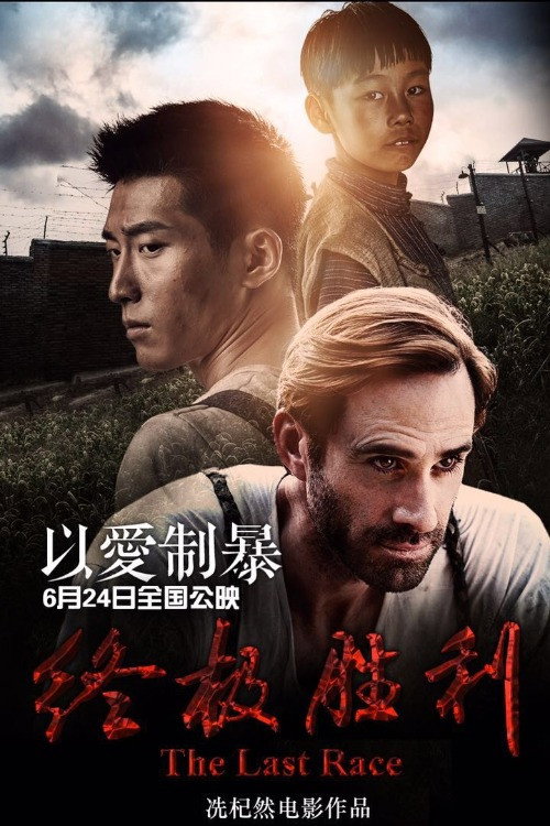 终极胜利 海报