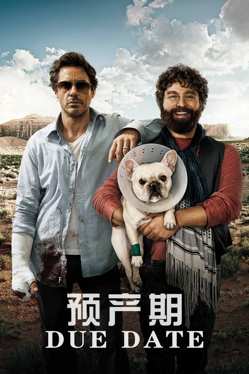 预产期 海报