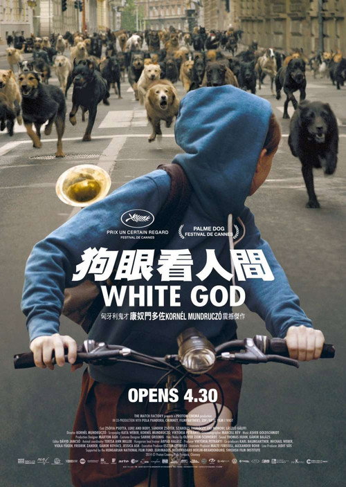 白色上帝 海报