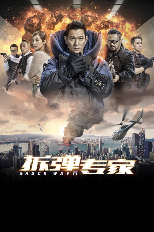 拆弹专家 海报