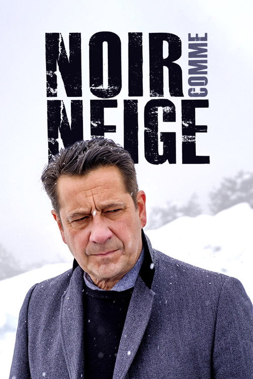 Noir comme neige 海报