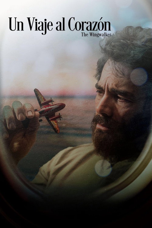 Un Viaje Al Corazón 海报