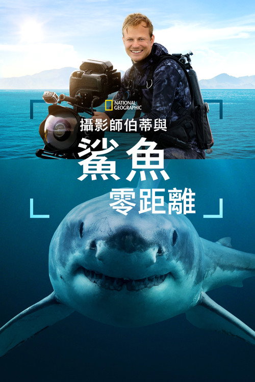 摄影师贝尔蒂与鲨鱼零距离 海报