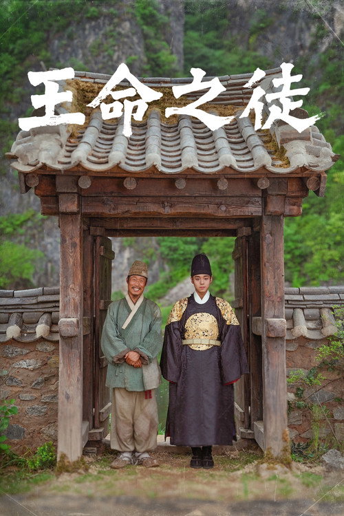 与王生活的男人 海报