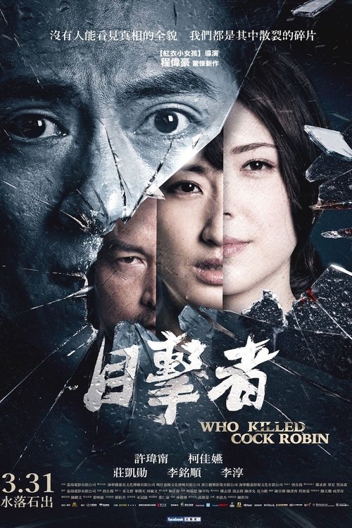 目击者之追凶 海报