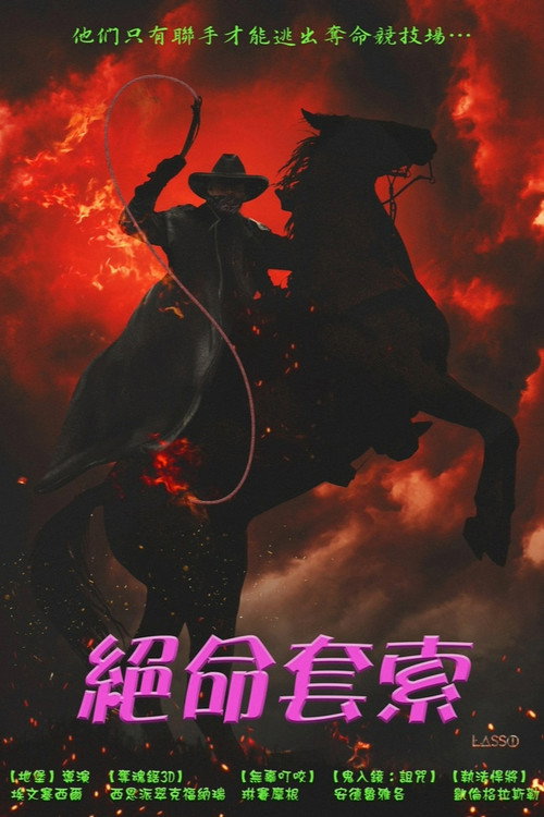 套索 海报