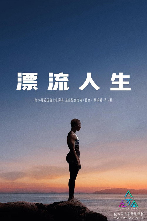 漂流人生 海报