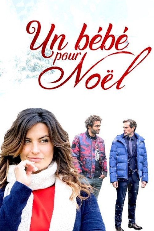 Un bébé pour Noël 海报