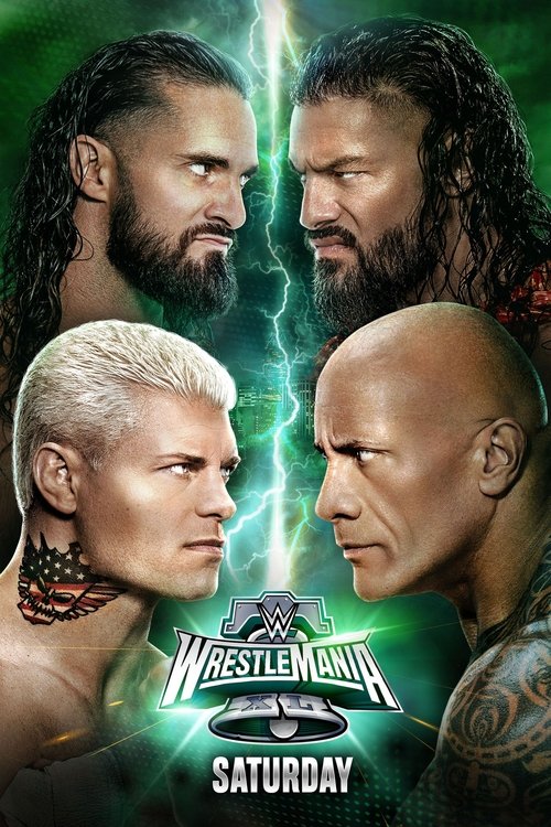 WWE 摔角狂热 40 第一赛日 海报
