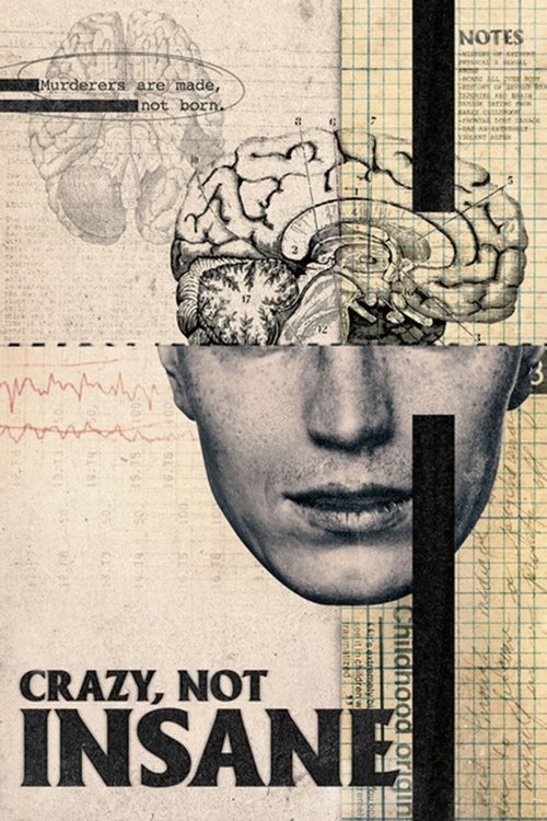 Crazy, Not Insane 海报