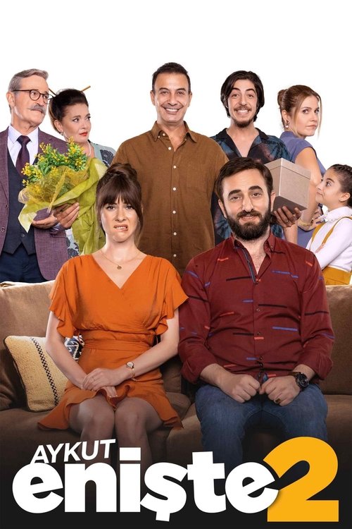 Aykut Enişte 2 海报