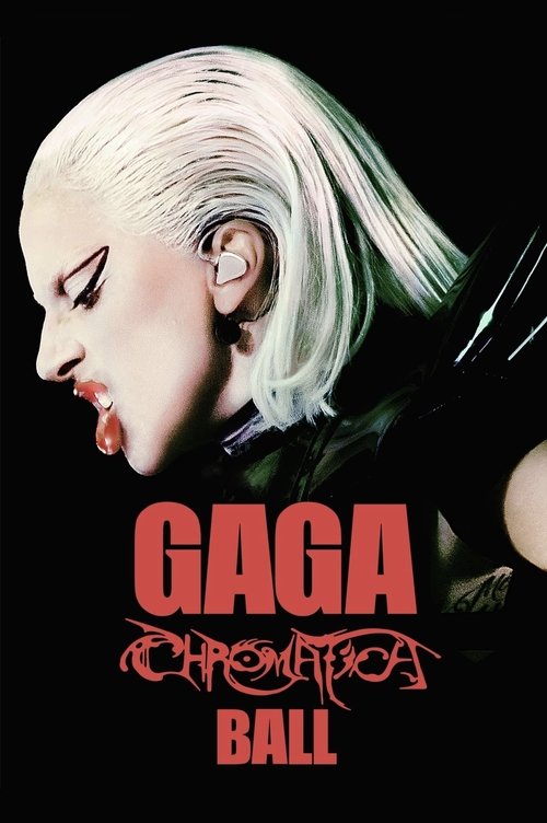 Lady Gaga：神彩巡回演唱会 海报