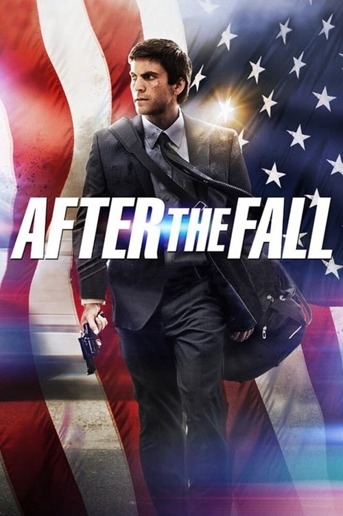 After the Fall 海报