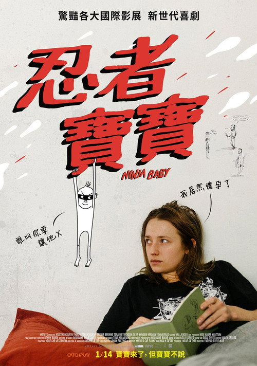 忍者宝贝 海报