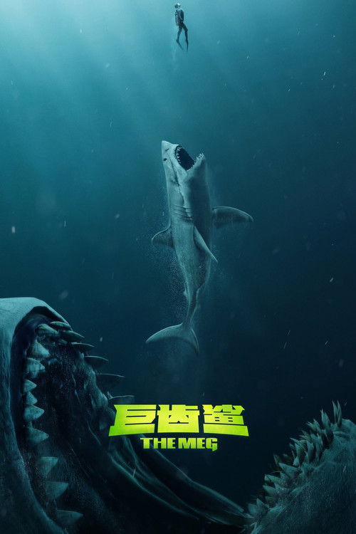 巨齿鲨 海报