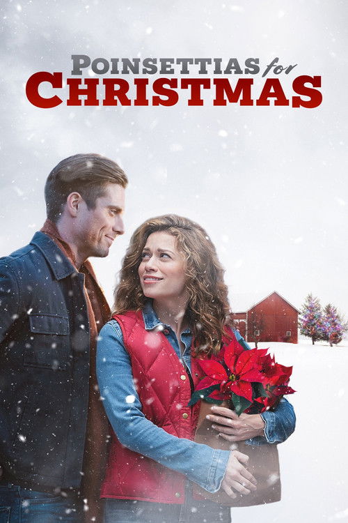 Poinsettias for Christmas 海报
