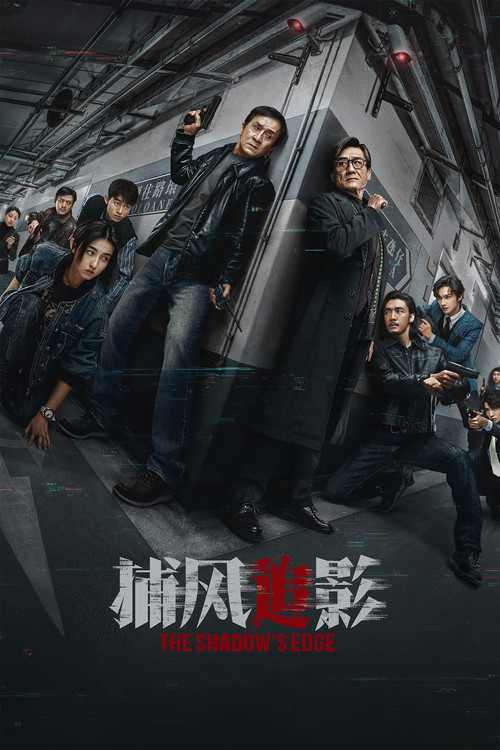 捕风追影 海报