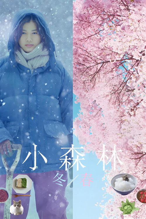 小森林：冬春篇 海报