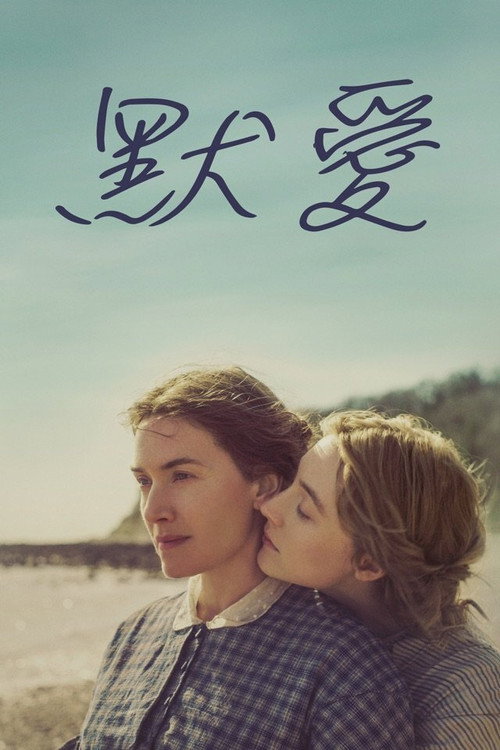 菊石 海报
