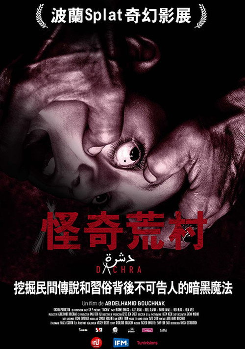 诡奇村庄 海报