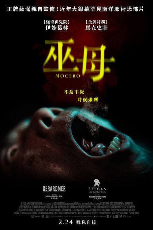 反安慰剂 海报