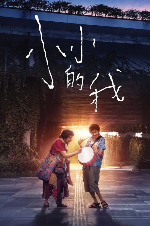 小小的我 海报