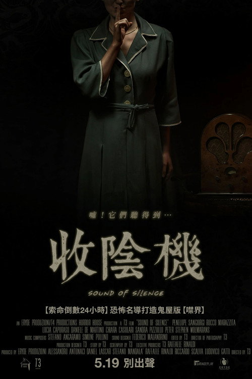 寂静之声 海报