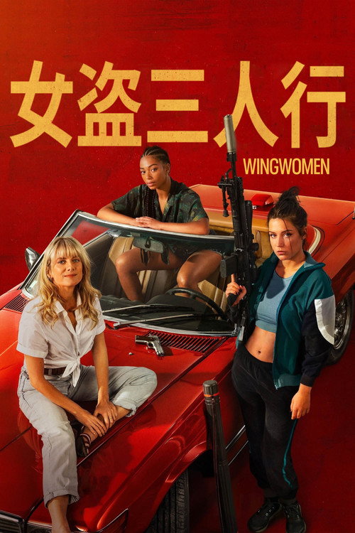 女盗三人行 海报