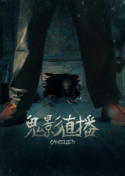 连接终止 海报