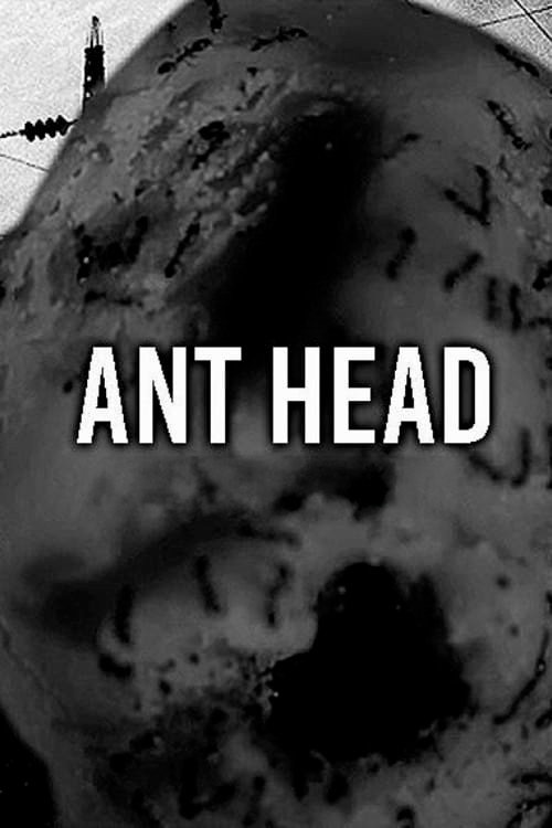 Ant Head 海报