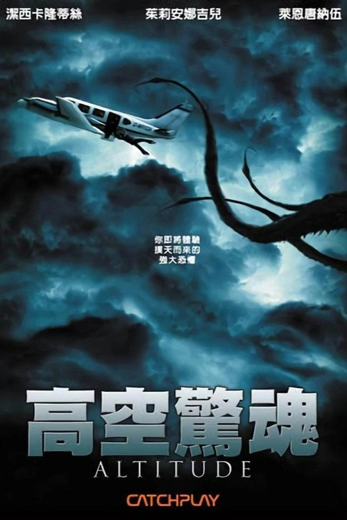 高空飞行 海报